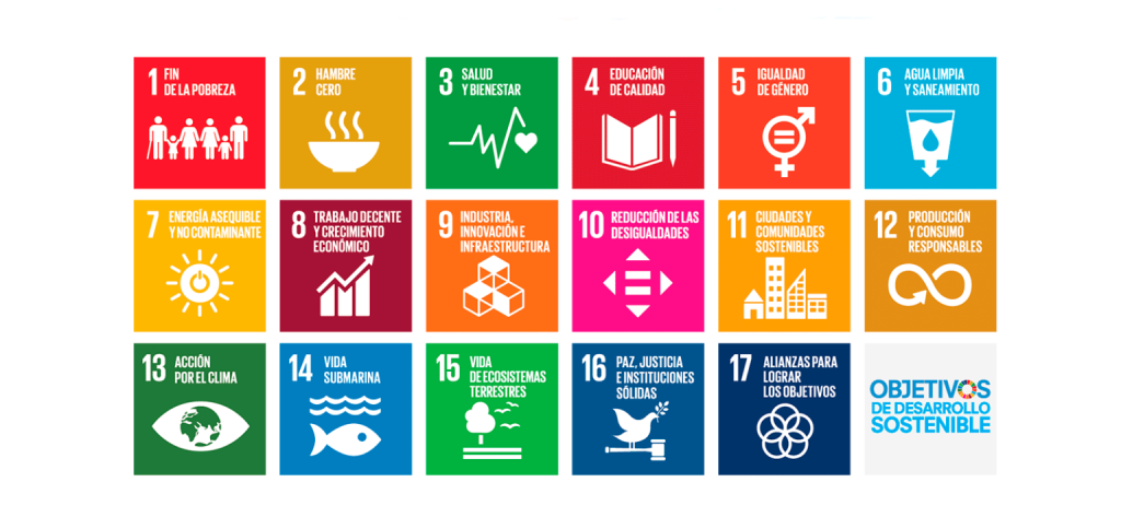 Qué son los "ODS" objetivos de sostenibilidad y agenda 2030 - ODS cast 1536x726 1 1024x484